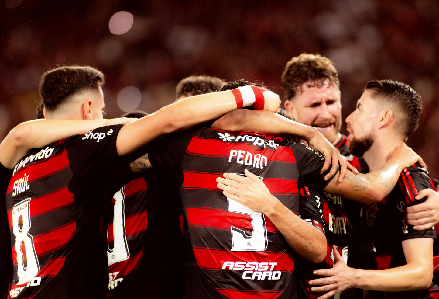 Flamengo libertadores 2025 