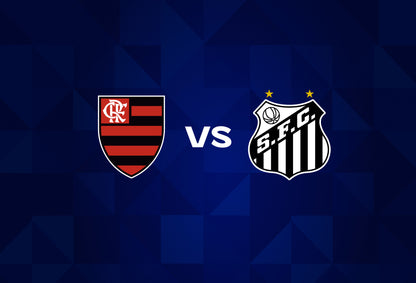 Flamengo vs Santos ingressos 