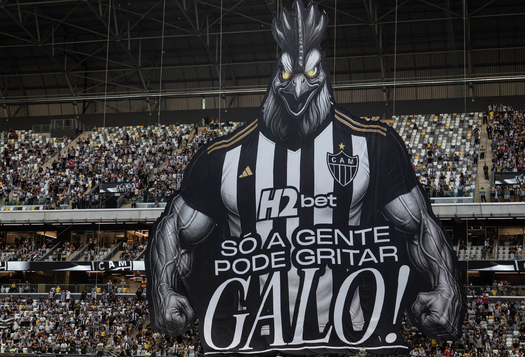 Galo Pacote Hospitality CONMEBOL Sudamericana 