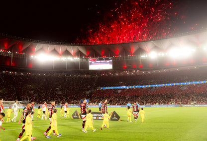Torcida_Flamengo_Libertadores